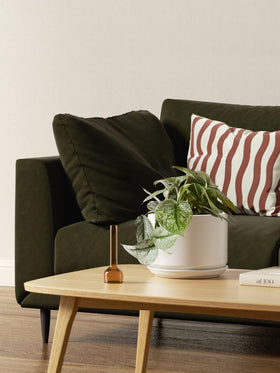 LE TAUCI pot with attached saucer catches excess water for clean surfaces