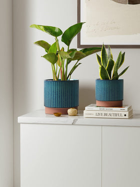 LE TAUCI ceramic pot silicone plug prevents leaks for tidy watering.