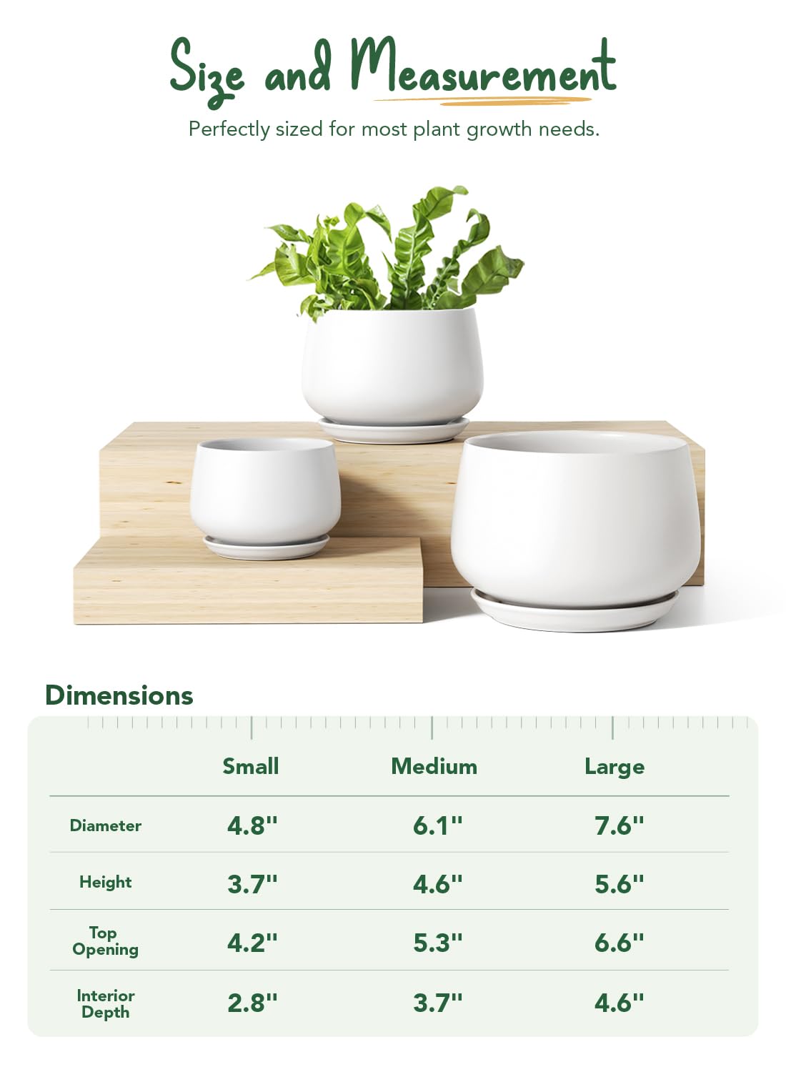 LE TAUCI pot interior reveals unglazed clay for airflow and moisture balance