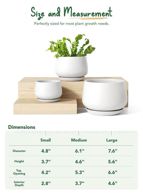 LE TAUCI pot interior reveals unglazed clay for airflow and moisture balance
