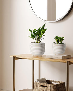 LE TAUCI white reactive glaze ceramic pot highlights modern style and durability.