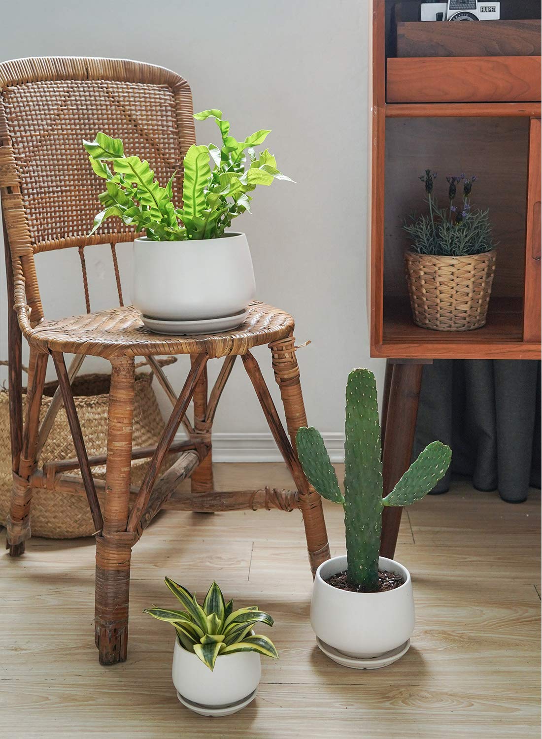 LE TAUCI pot with attached saucer helps prevent overwatering during routine care