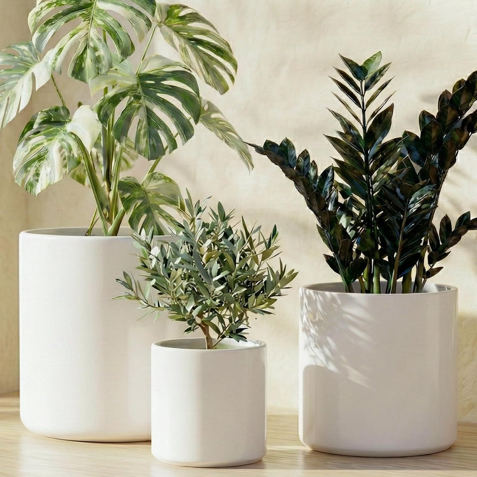LE TAUCI 10-inch ceramic planter in satin white, ideal for a calm minimalist shelf display.