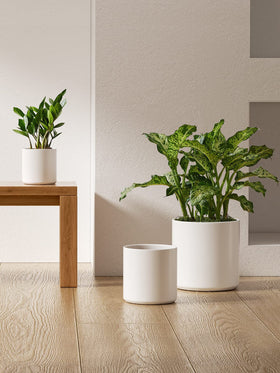 LE TAUCI 8-inch ceramic planter in satin white for desk or stand displays.