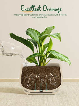 LE TAUCI pots on shelf show clean modern finish suitable for any room