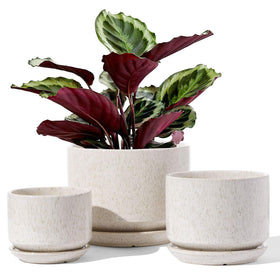 LE TAUCI ceramic pots set of 3 with beige reactive glaze for stylish indoor greenery.