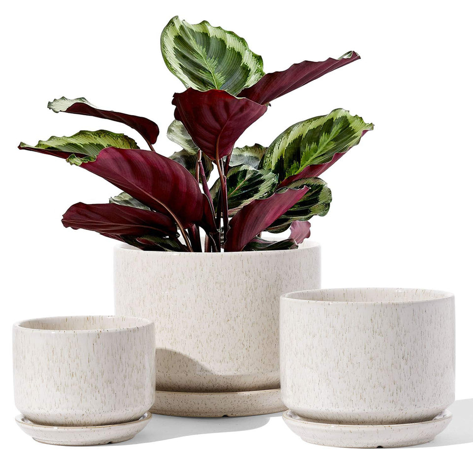 LE TAUCI ceramic pots set of 3 with beige reactive glaze for stylish indoor greenery.