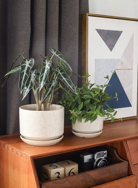 LE TAUCI pots side view showcasing modern design and durable stoneware.