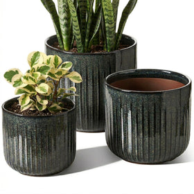 LE TAUCI ceramic pot with glossy dark olive cylinder enhances plant displays.