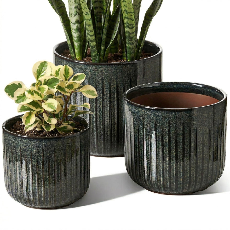LE TAUCI ceramic pot with glossy dark olive cylinder enhances plant displays.