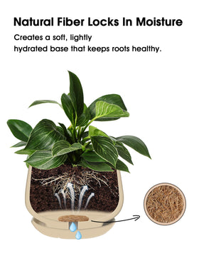 LE TAUCI dense coir structure pad maintains shape during watering