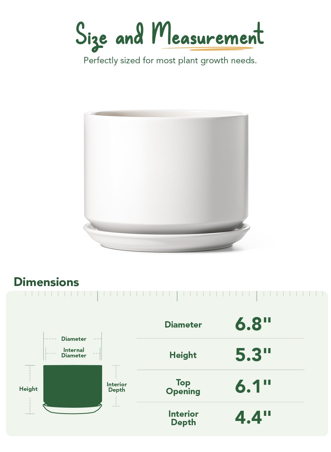 LE TAUCI desk-friendly 6.8 inch pot fits on desks and shelves
