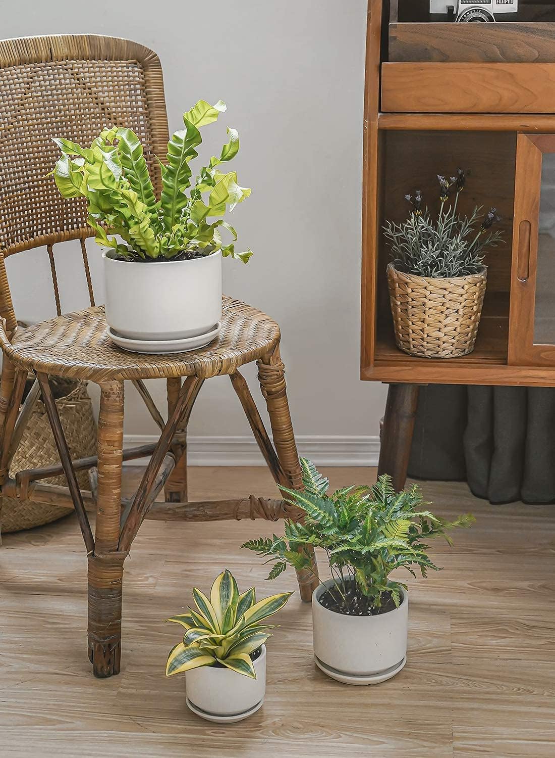 LE TAUCI glazed ceramic pot is easy to wipe clean