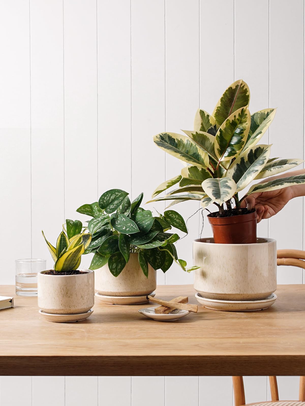 LE TAUCI medium pot with saucer for mid-size plants.
