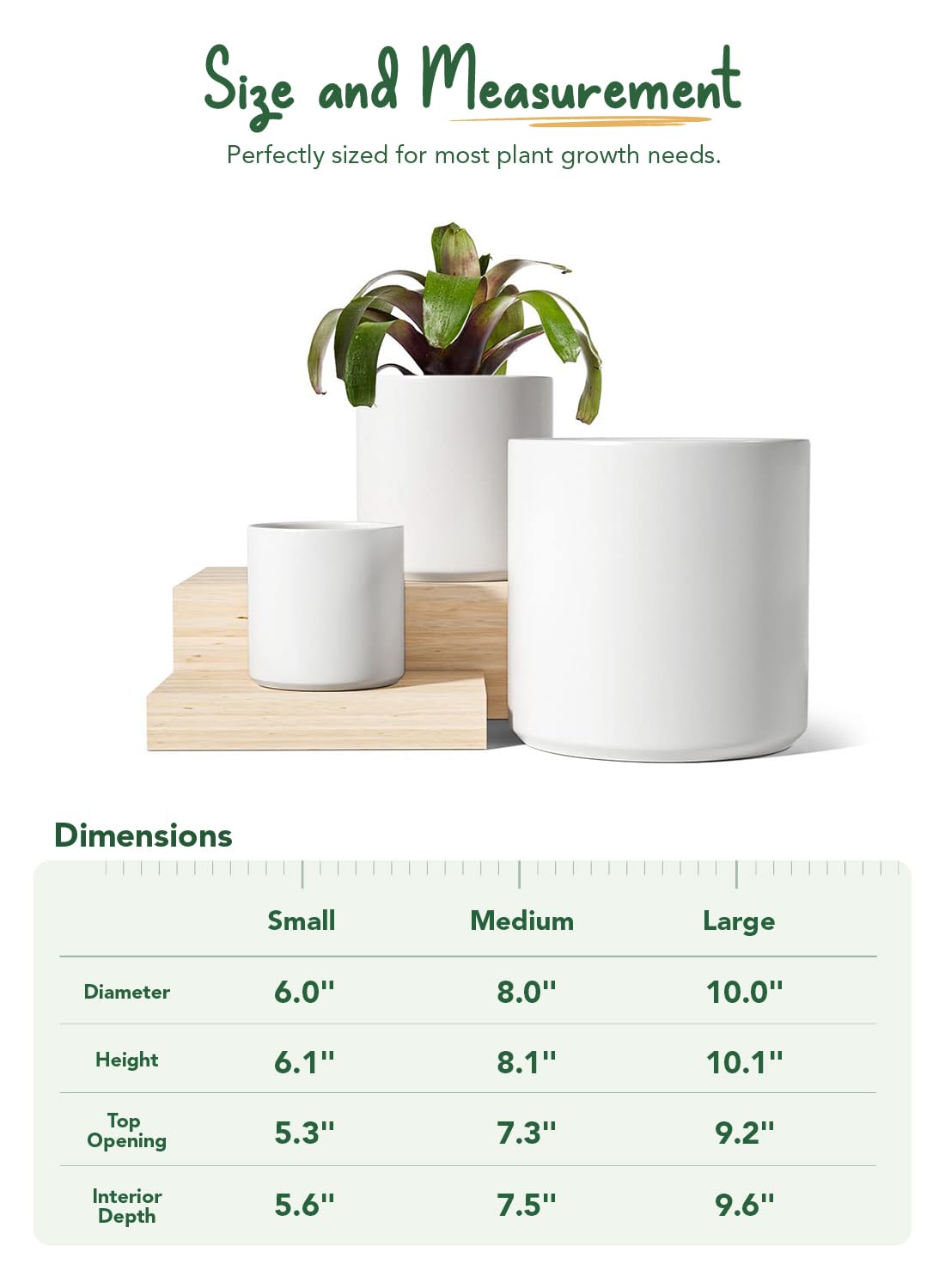 LE TAUCI mesh pad reduces soil loss while allowing airflow.