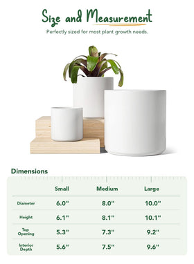 LE TAUCI mesh pad reduces soil loss while allowing airflow.