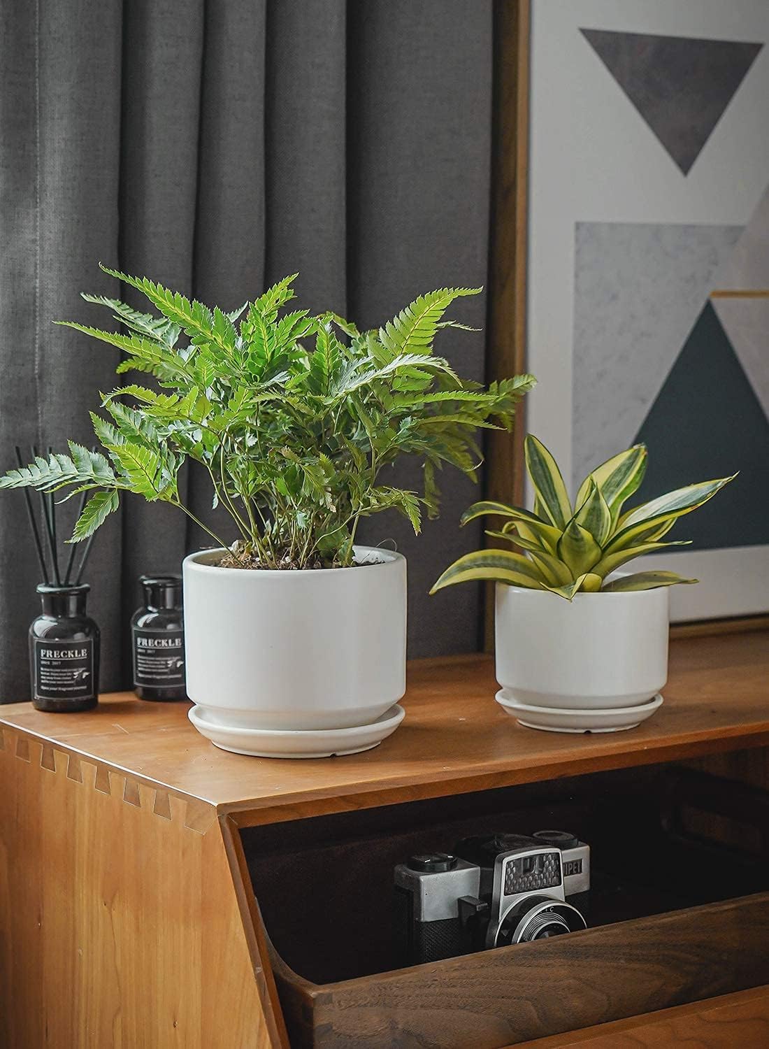 LE TAUCI modern planter design complements living rooms and offices