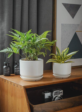 LE TAUCI modern planter design complements living rooms and offices