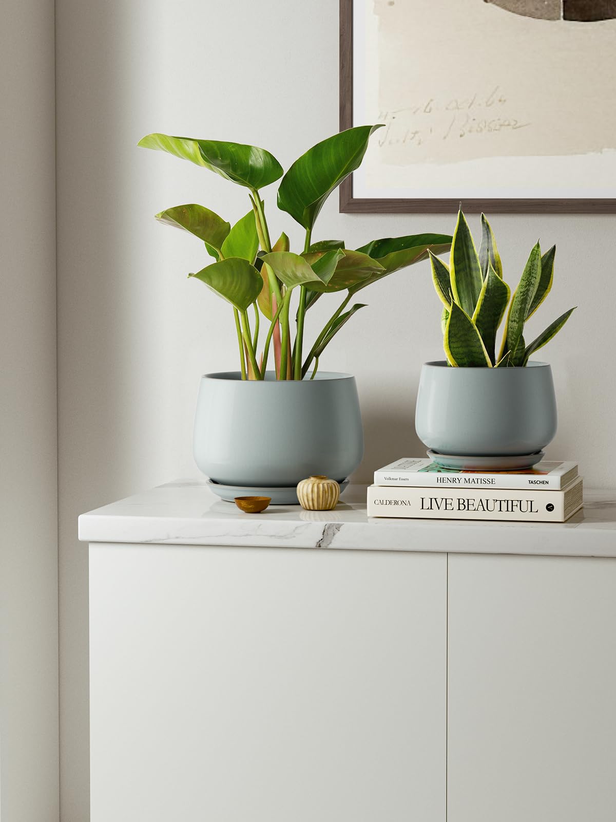 LE TAUCI medium pot with saucer, perfect for desks or shelves