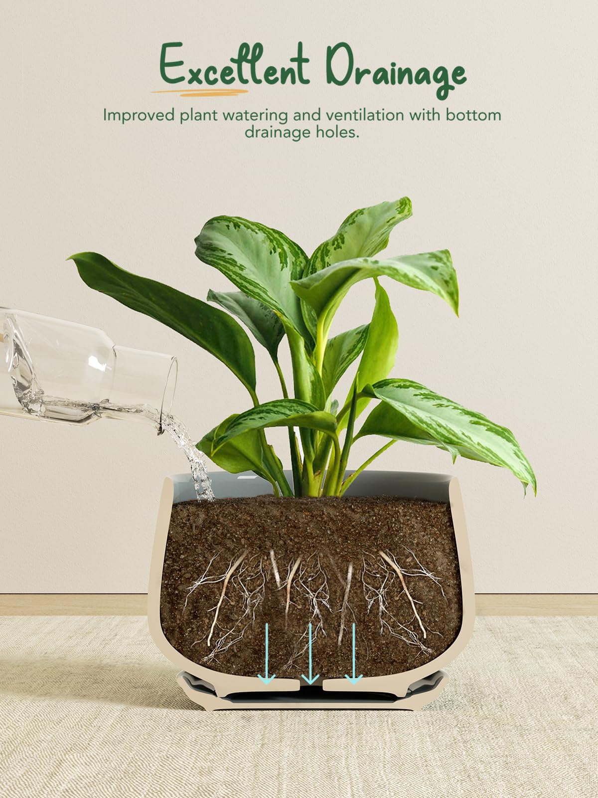 LE TAUCI small succulent pot, compact for tight spaces