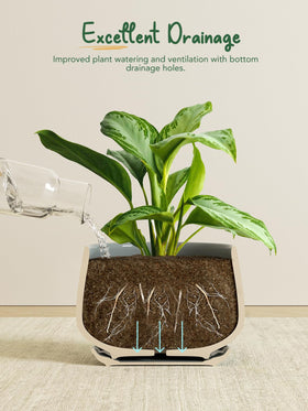 LE TAUCI small succulent pot, compact for tight spaces