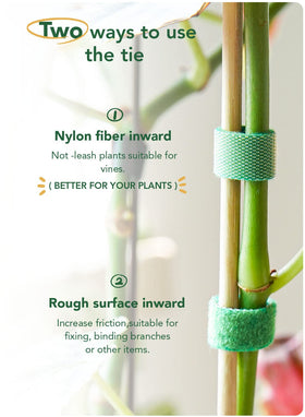 LE TAUCI Plant Ties reusable storage bag emphasizes easy season-long care.