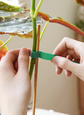 LE TAUCI Plant Ties with rough-side inward setup for extra hold.