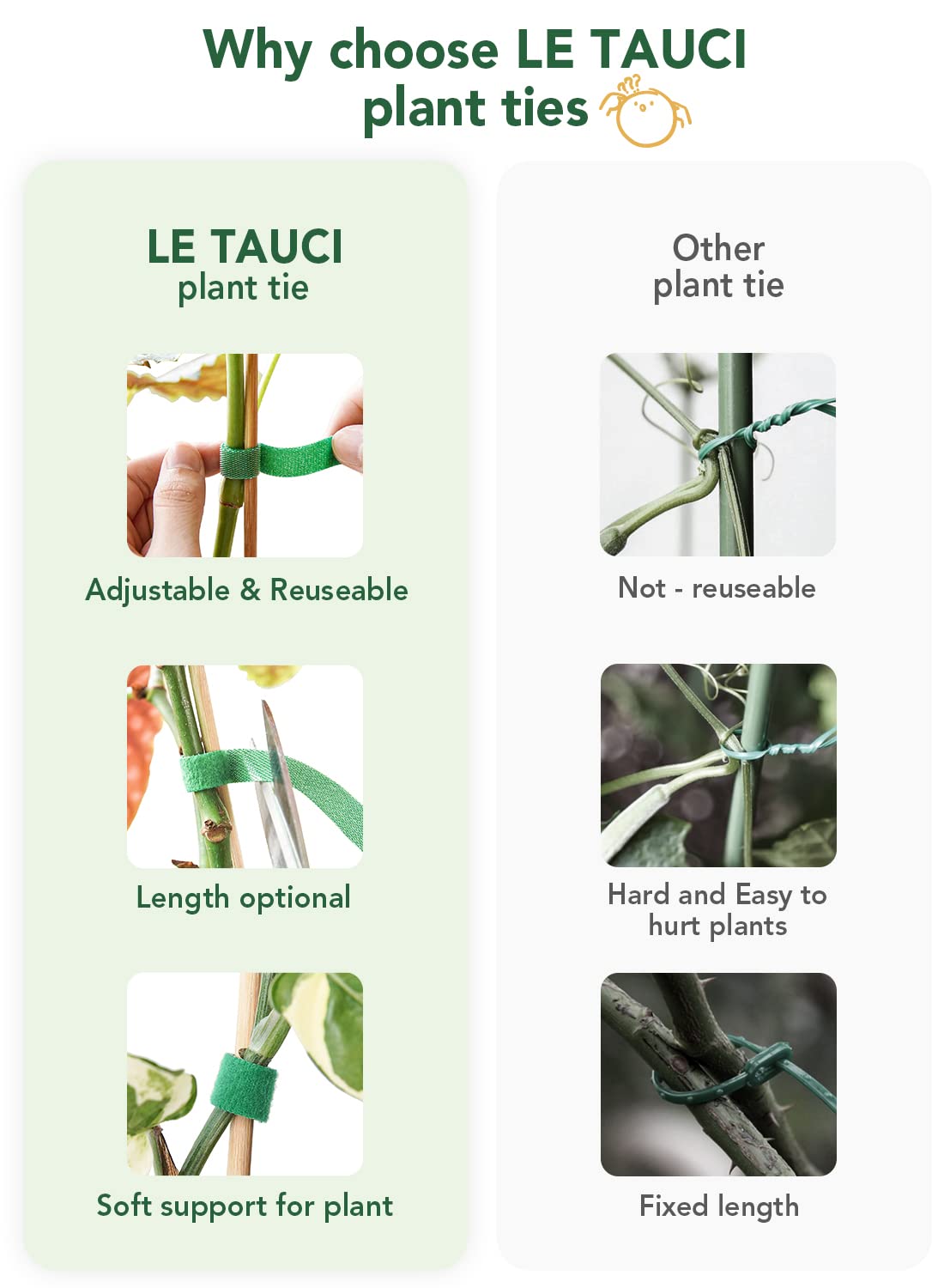 LE TAUCI Plant Ties two-roll packaging highlights 100 ft total length.