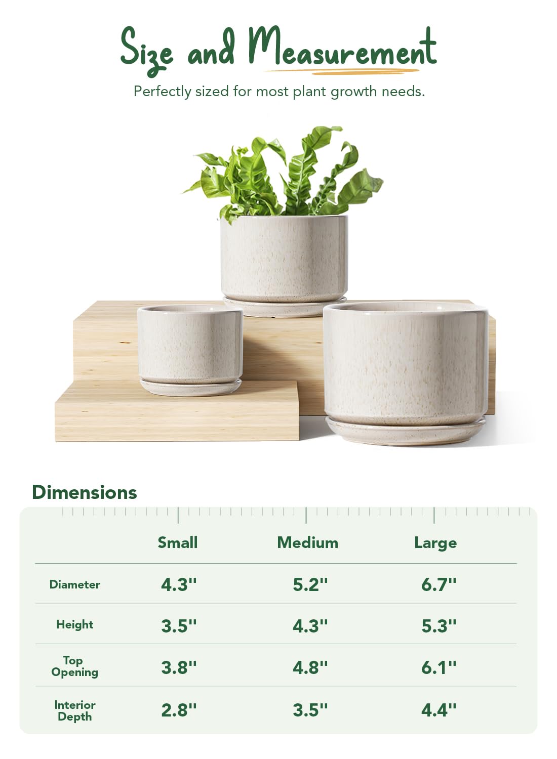 LE TAUCI small pot ideal for succulents and small greens.