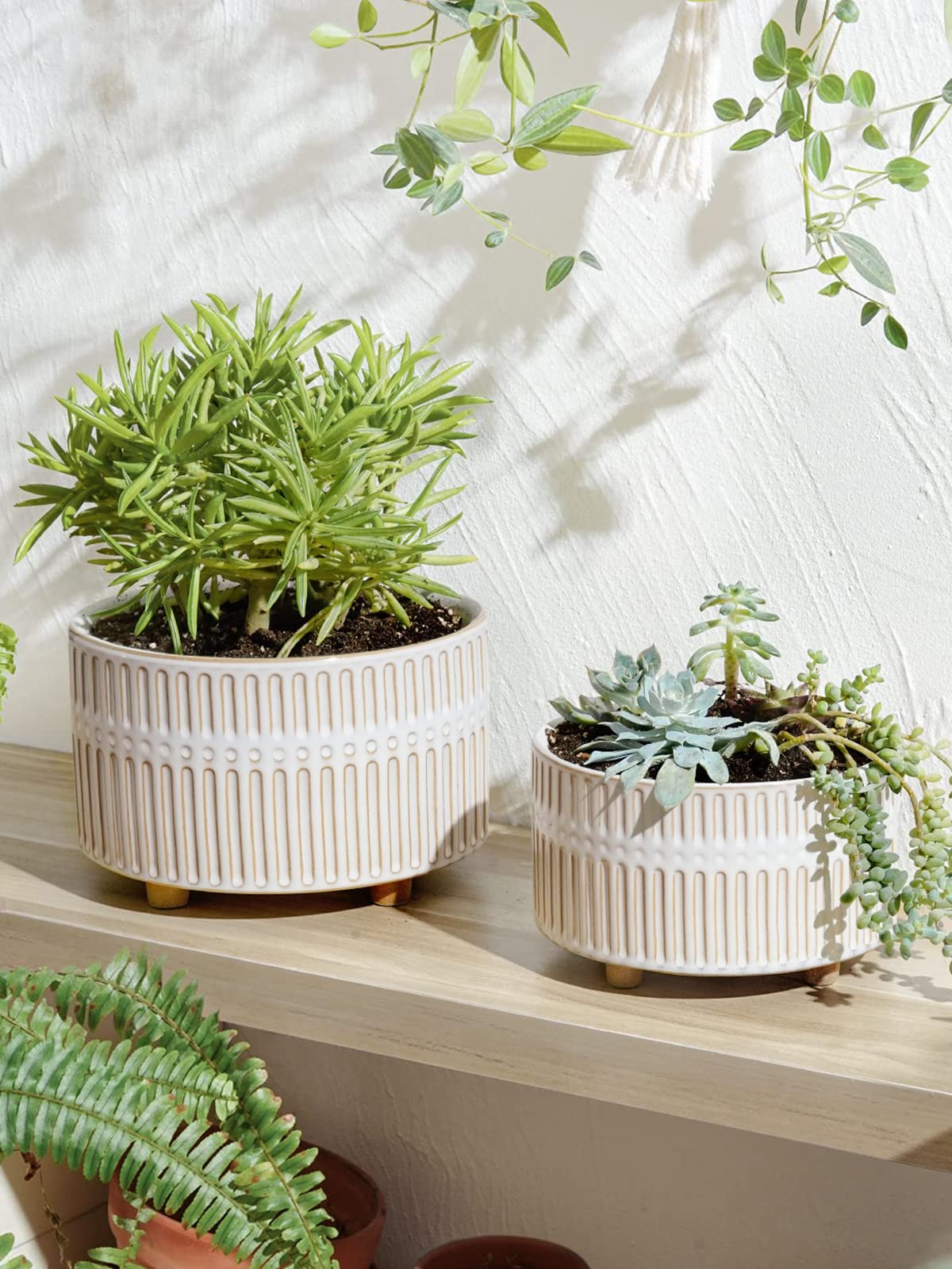LE TAUCI succulent planters low-profile design fits modern desks and windowsills