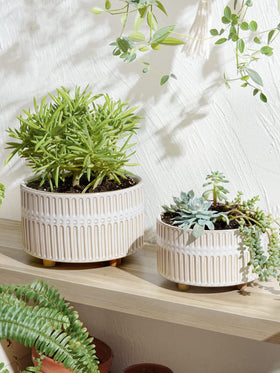 LE TAUCI succulent planters low-profile design fits modern desks and windowsills