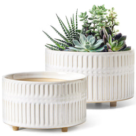 LE TAUCI succulent planters 8 inch wide mouth on shelf enable airy root space