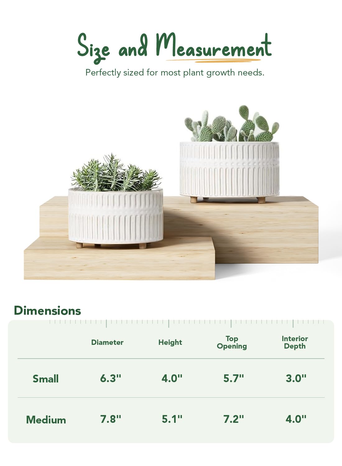 LE TAUCI succulent planters drainage hole with mesh prevents soil loss during watering