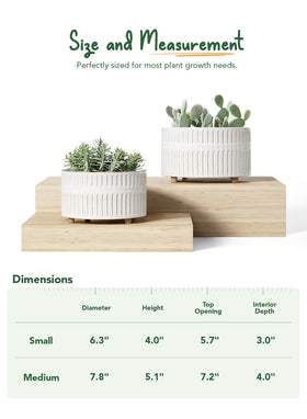 LE TAUCI succulent planters drainage hole with mesh prevents soil loss during watering