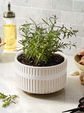 LE TAUCI succulent planters premium ceramic feel sturdy and easy to wipe clean