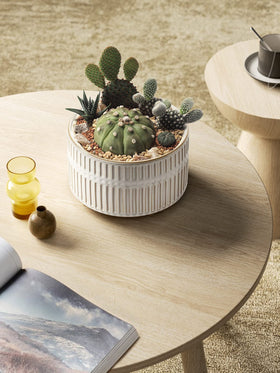 LE TAUCI succulent planters removable drainage plug offers no-drain option when desired