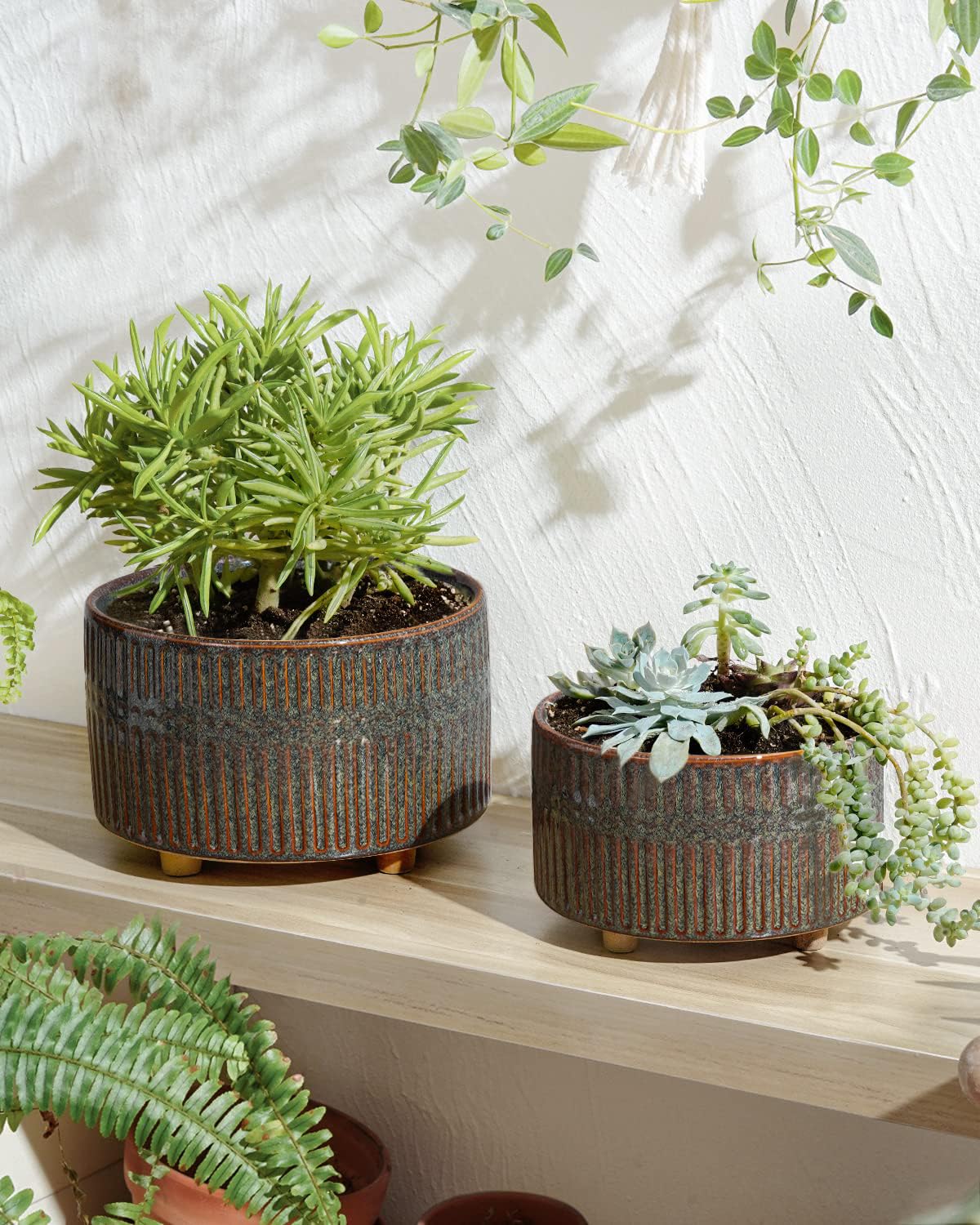 LE TAUCI 6.5-inch shallow pot ideal for compact desk plant clusters.