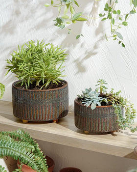 LE TAUCI 6.5-inch shallow pot ideal for compact desk plant clusters.