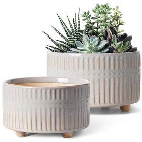 LE TAUCI succulent pots in 8-inch planter showcasing ventilation and style for any shelf