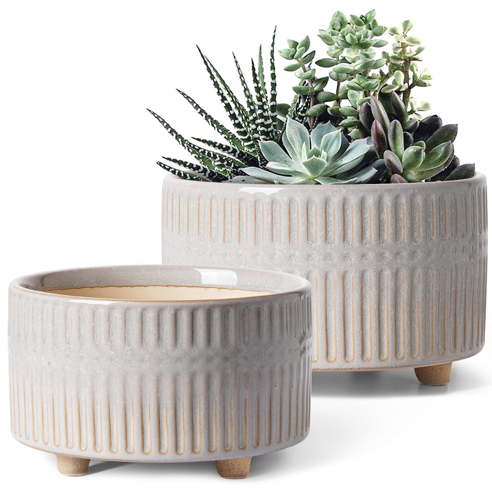 LE TAUCI succulent pots in 8-inch planter showcasing ventilation and style for any shelf