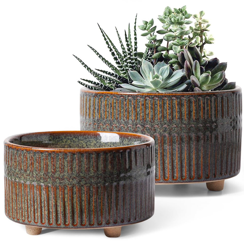 LE TAUCI 8-inch succulent pot with reactive glaze adds character to modern displays.