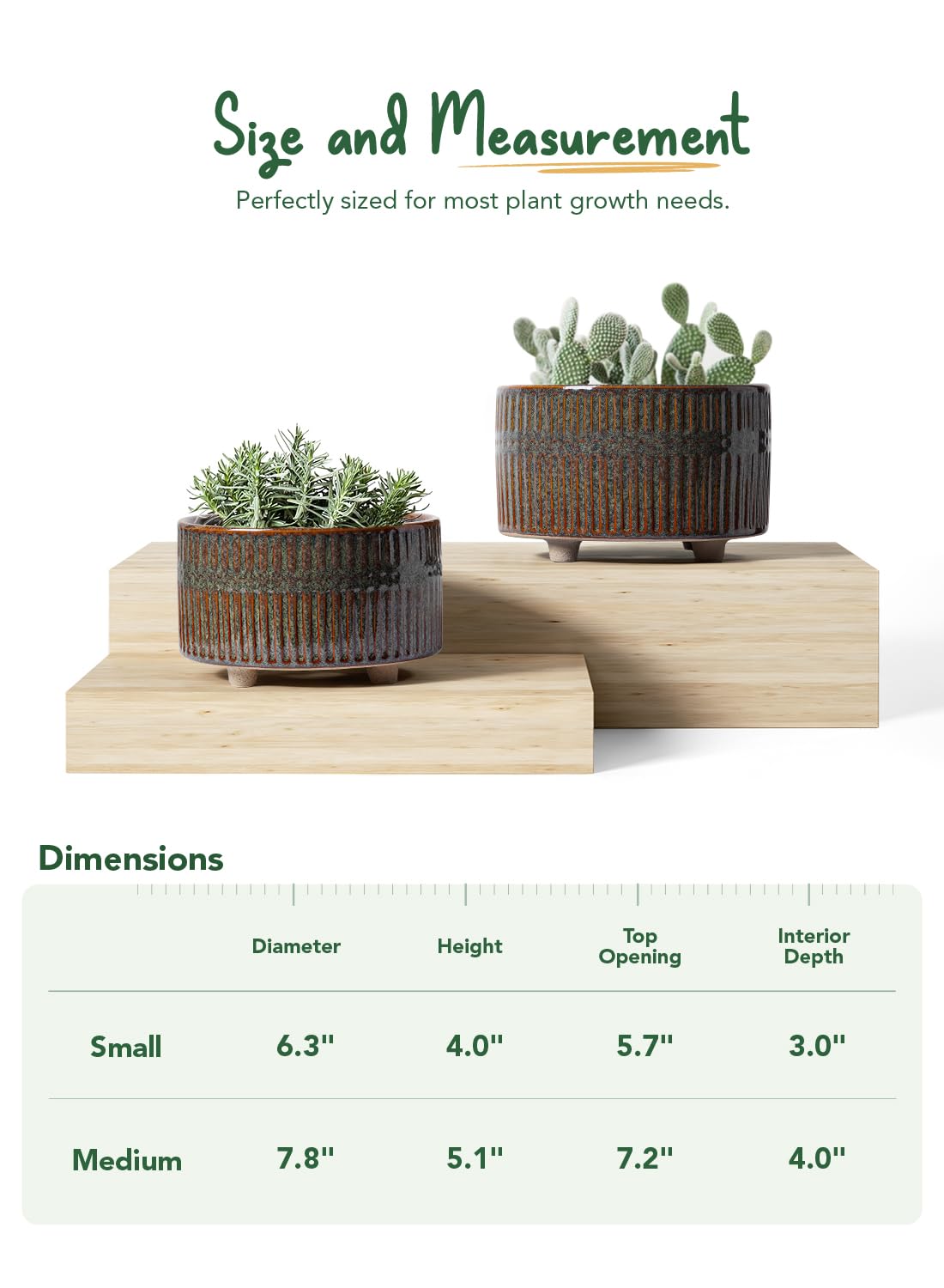 LE TAUCI set suits shelves and desks for stylish plant displays.