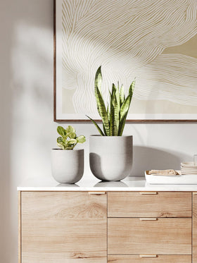 Close-up of LE TAUCI unglazed ceramic texture and cement-gray finish.