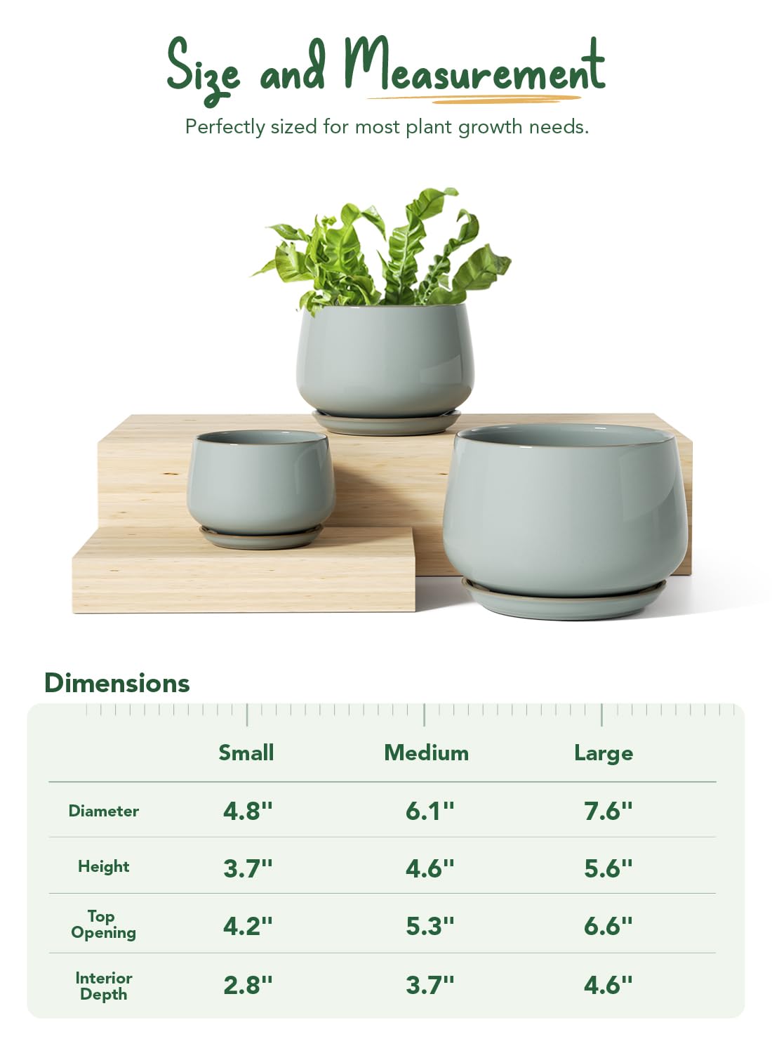 LE TAUCI unglazed interior ceramic, encourages healthy moisture balance