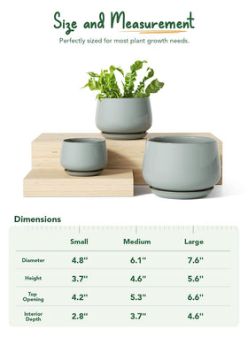 LE TAUCI unglazed interior ceramic, encourages healthy moisture balance