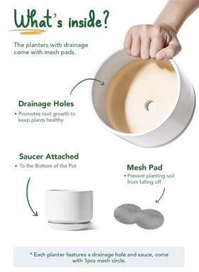 LE TAUCI white glaze ceramic pot adds modern style and stain resistance