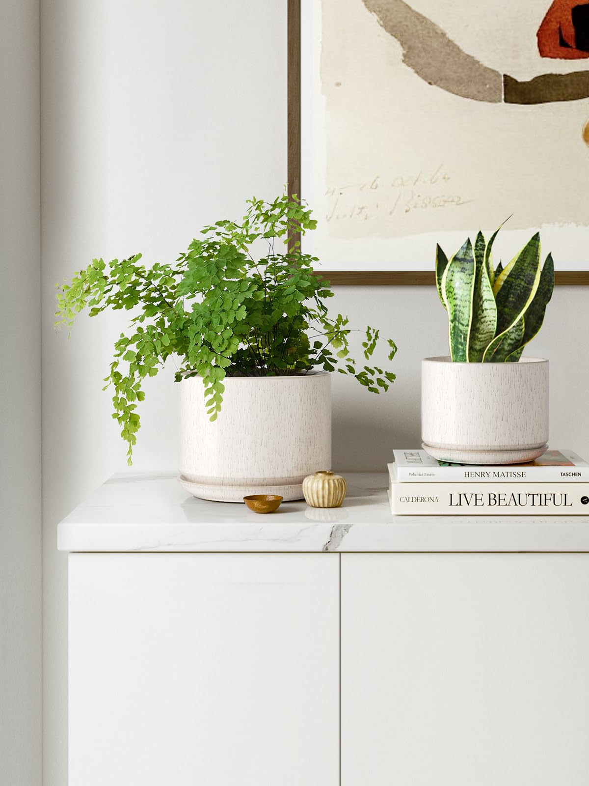LE TAUCI window display demonstrates versatile indoor decor.
