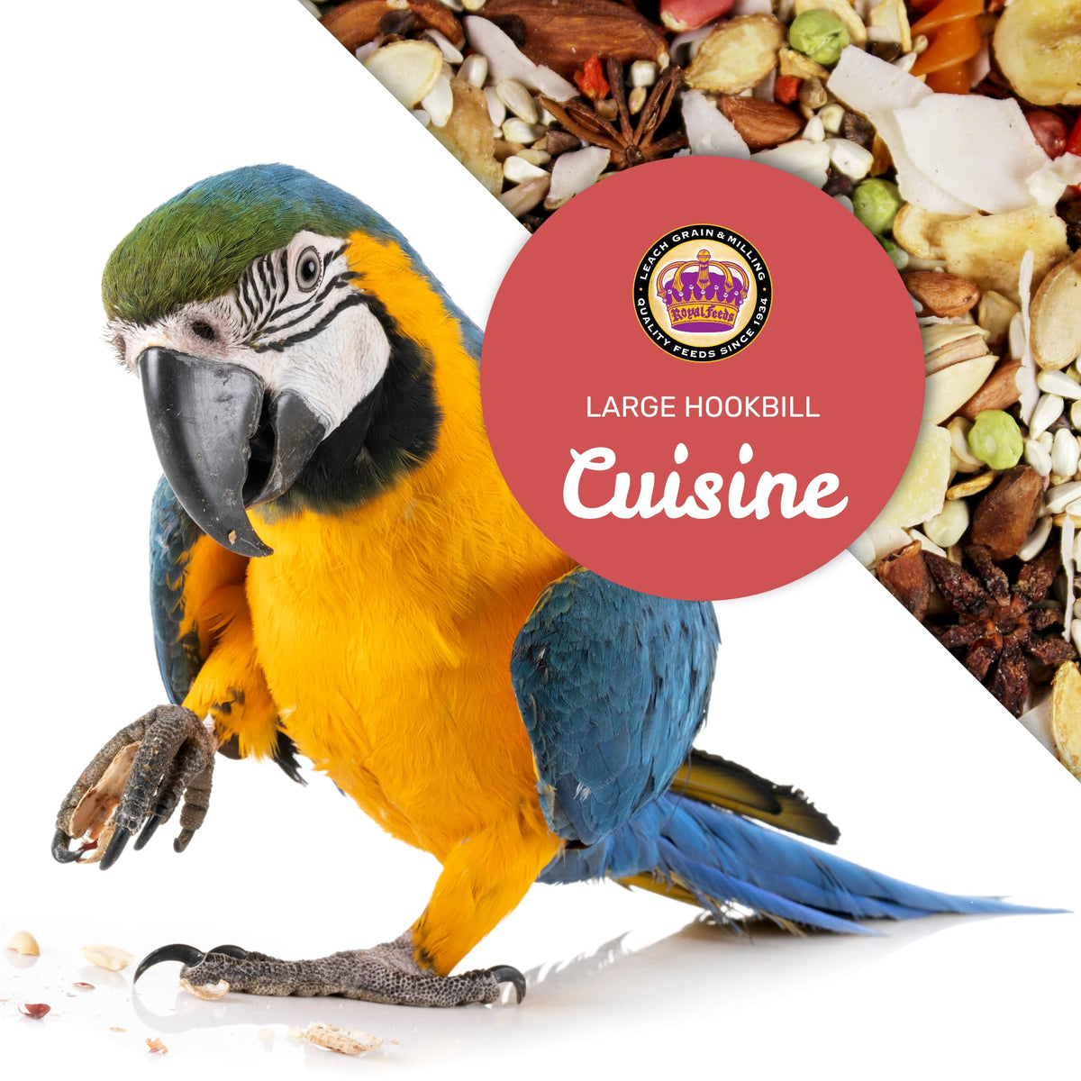 Leach Grain & Milling Co. Large Hookbill Cuisine hulled-nuts support beak health through chewing.