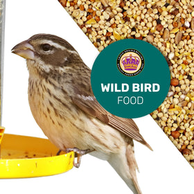 Leach Grain & Milling Co. Easy pour seed in feeder illustration for clean, spill-free year-round feeding.