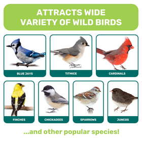 Leach Grain & Milling Co. Nut-free mix close-up highlighting safe feeding for mixed bird species.